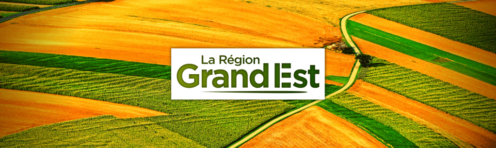 La Région Grand Est soutient la recherche dans les biotechnologies&nbsp;!