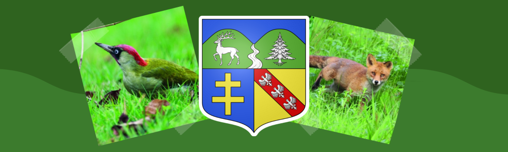 Retour de l&rsquo;exposition-photos sur nos forêts à Wisembach le 30, 31 Mars et 1er Avril&nbsp;!