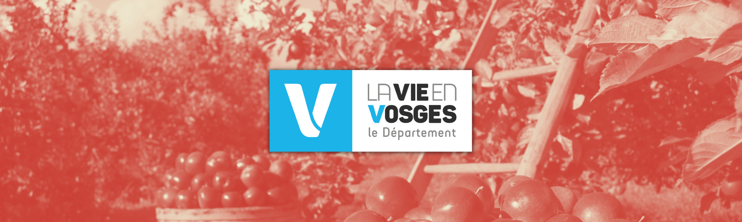 920 € pour nos arbres fruitiers en Février dans les Vosges !