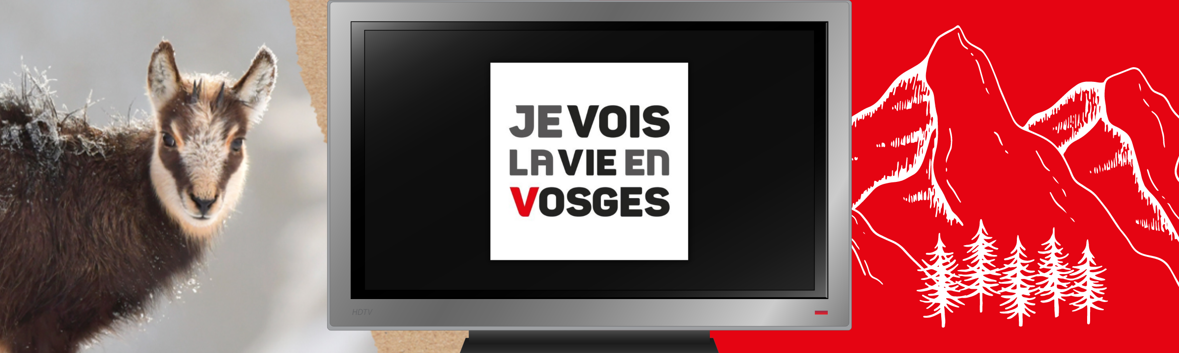 « N’oubliez pas les paroles » en voyant la Vie en Vosges !