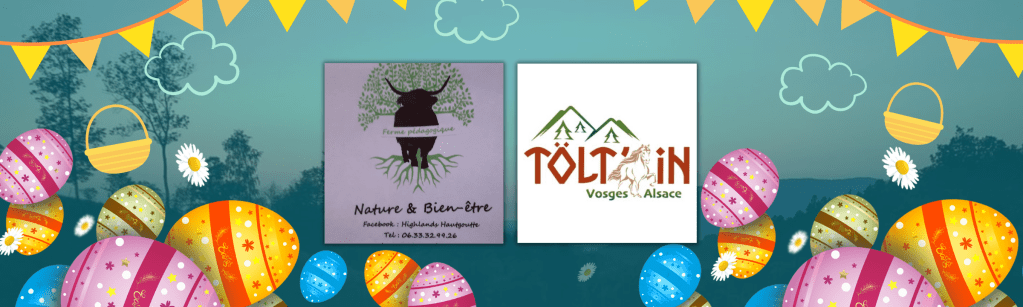 Une chasse aux œufs à dos d&rsquo;Islandais à Haugoutte&nbsp;!