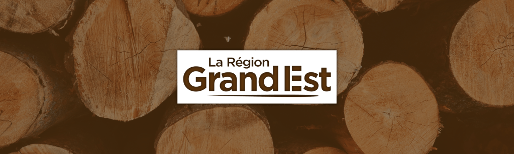 Filière Bois : vers une transition essentielle pour le Grand Est&nbsp;!