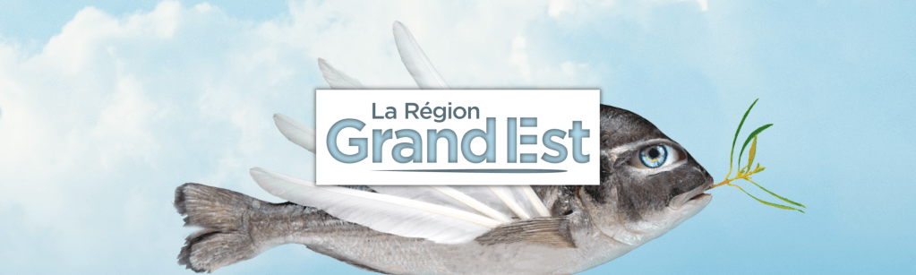 10 compagnies du Grand Est au Festival Off d’Avignon 2024&nbsp;!