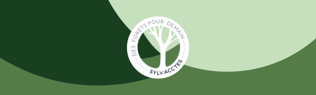 « J’aime ma forêt des Vosges » : campagne de dons pour nos forêts&nbsp;!