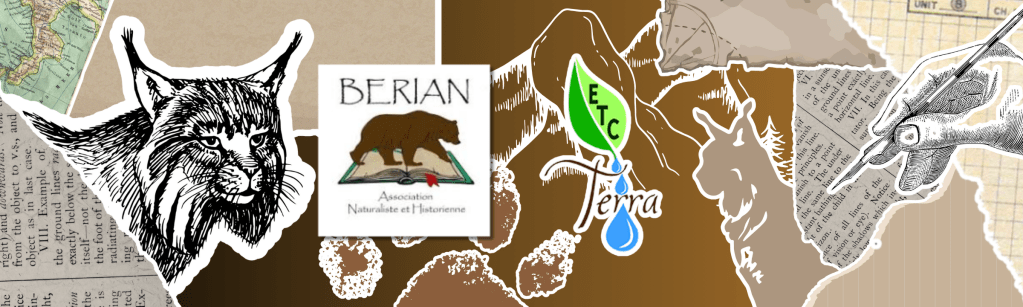 Lynx entre biologie et croyance : balade avec BERIAN et ETC… Terra demain 1er Juin&nbsp;!