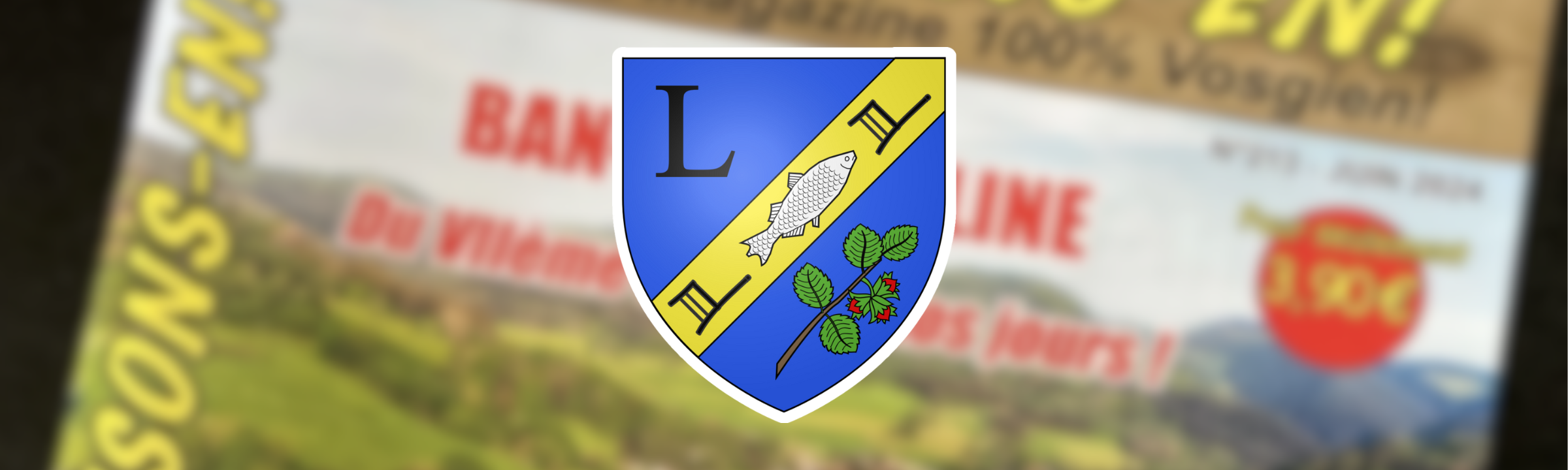 Le magazine Causons-en spécial Ban-de-Laveline arrive !