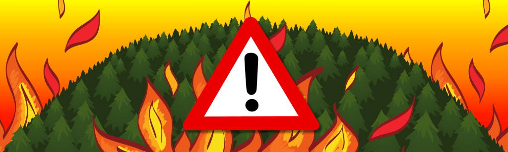 Feux de forêt : soyons vigilant·e·s pour préserver notre nature&nbsp;!