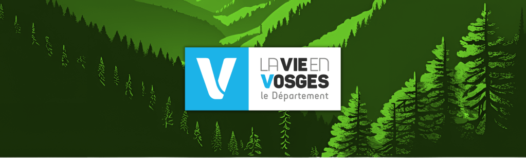 Un coup de pouce des élus vosgiens pour l&rsquo;économie locale&nbsp;!