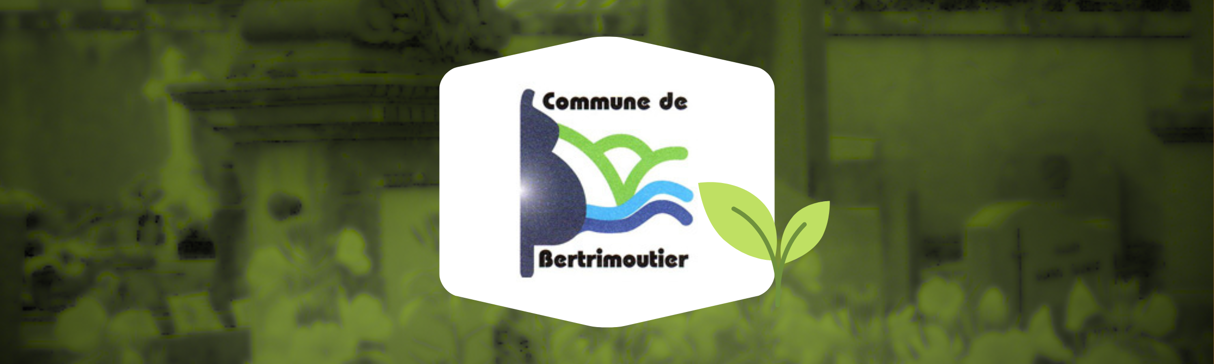 Un nouveau cimetière végétalisé sans pesticide à Bertrimoutier !