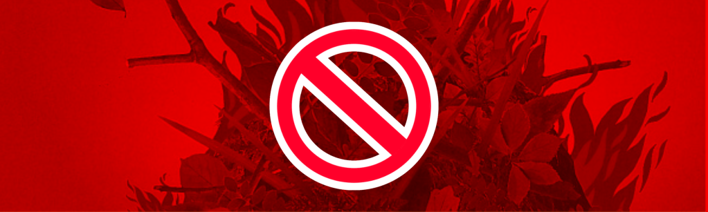 Rappel : le brûlage à l&rsquo;air libre des déchets verts est interdit&nbsp;!