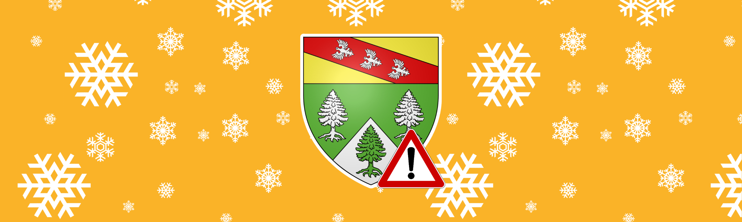 Vigilance orange pour la neige et verglas dans les Vosges les 4 et 5 Janvier 2025 !