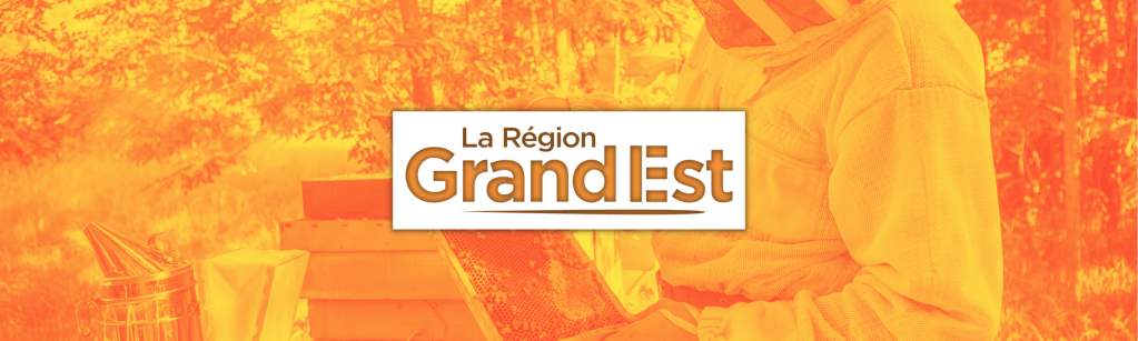 La Région Grand Est s’engage toujours pour sa filière apicole&nbsp;!