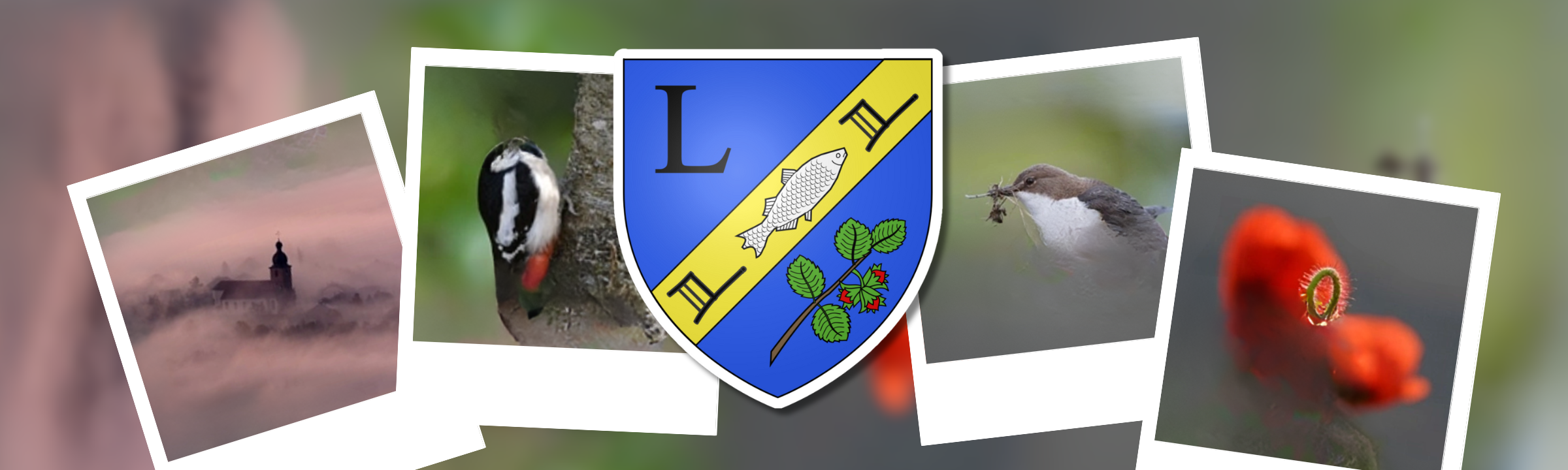 Projection-diaporama « Clin d&rsquo;Œil Nature » à Ban-de-Laveline le 25 Avril 2025 !