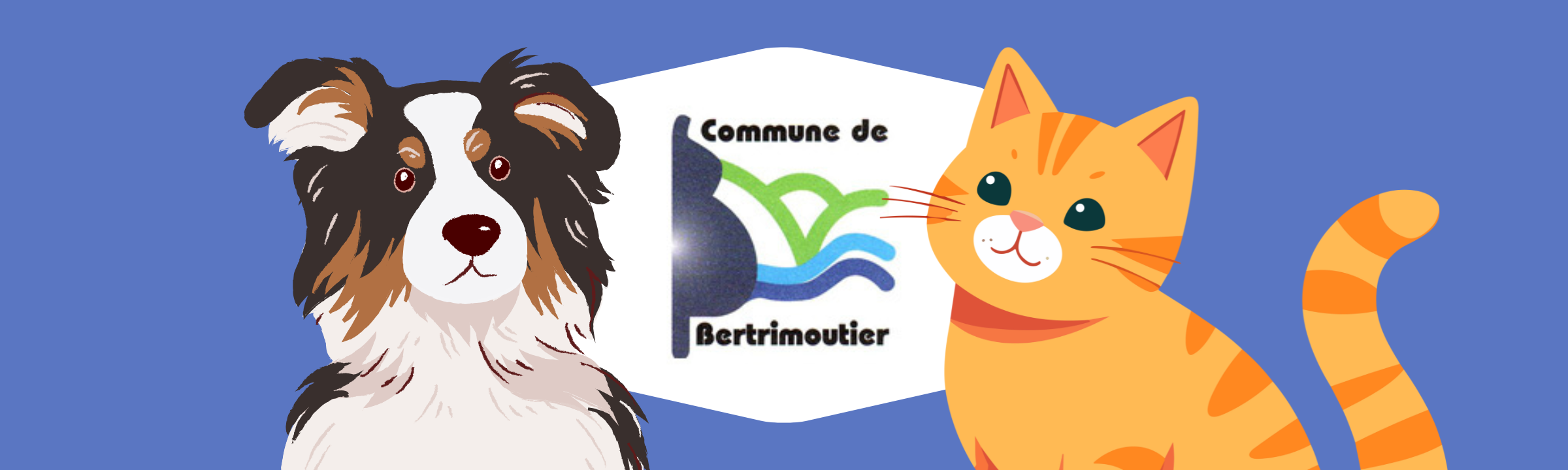 Chats perdus et chats victimes à Bertrimoutier : la mairie réagit !