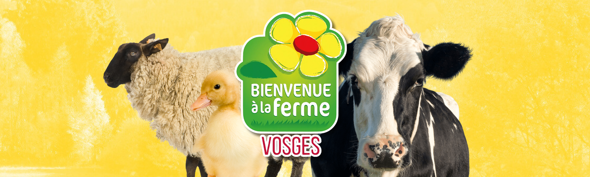 7 fermes vosgiennes célèbrent le printemps et vous ouvrent leurs portes à tous !