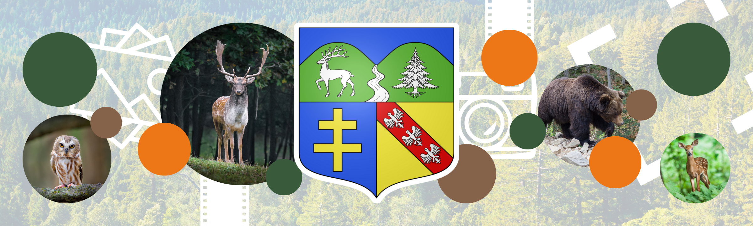 Exposition-photo sur nos forêts à Wisembach les 19, 20 et 21 Avril 2025