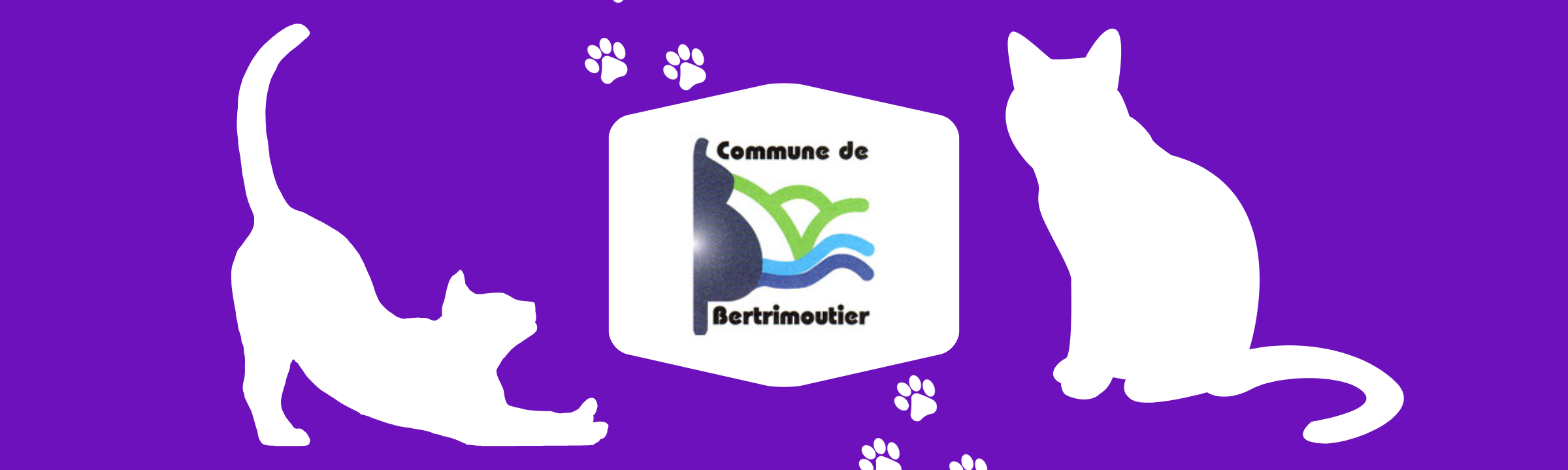 Stérilisation des chats errants : réunion publique le 31 Mai 2025 à Bertrimoutier