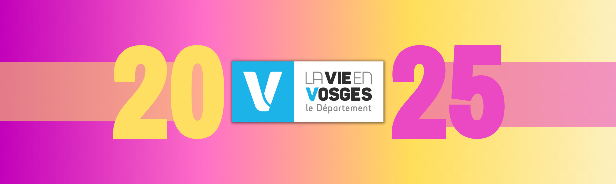 Budget 2025 : les Vosges ajustent le tir sans lâcher les rênes !