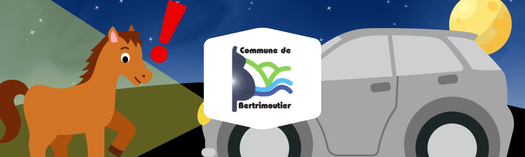 Un automobiliste percute un cheval en pleine nuit à Bertrimoutier&nbsp;!