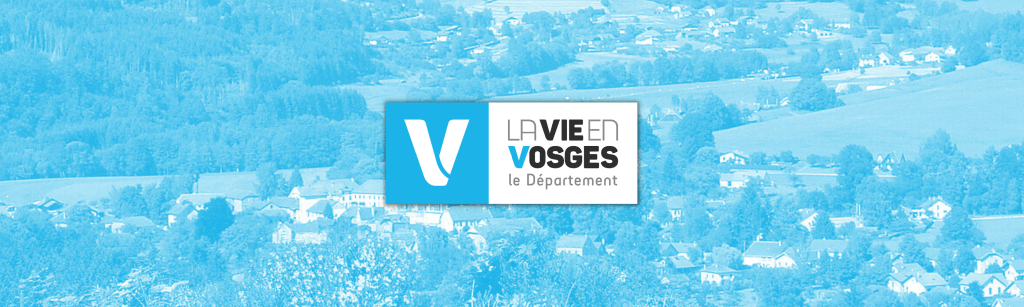 Nos élus vosgiens adoptent une série d’aides pour soutenir les projets du territoire&nbsp;!
