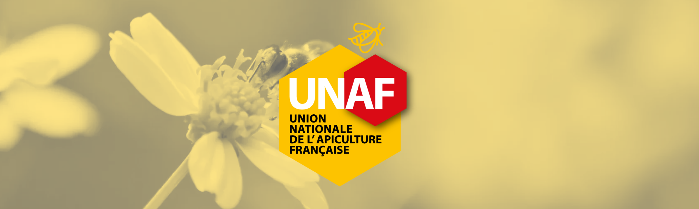 Signons la pétition nationale pour sauver notre apiculture française !