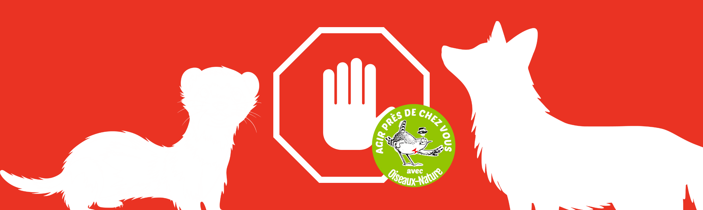 Vosges : l&rsquo;association Oiseaux-Nature s&rsquo;oppose au piégeage des prédateurs !