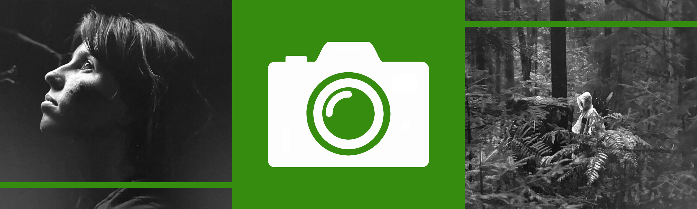 « Le Houéran » : la forêt vosgienne entre mythe et réalité en photos !