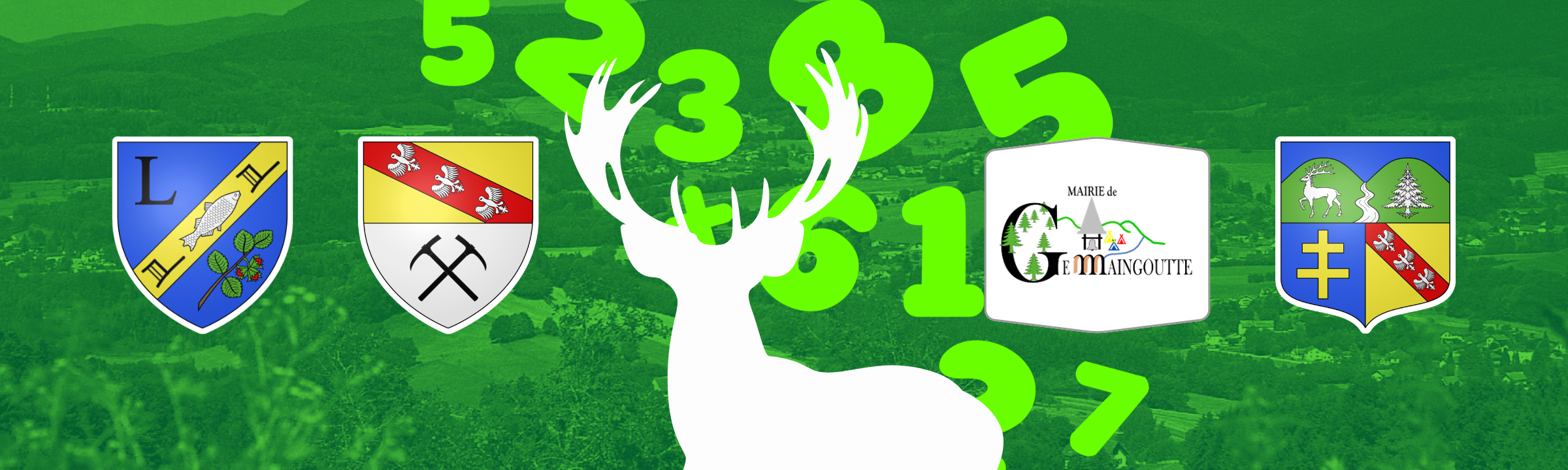 Local : le comptage des cervidés va débuter dans nos massifs