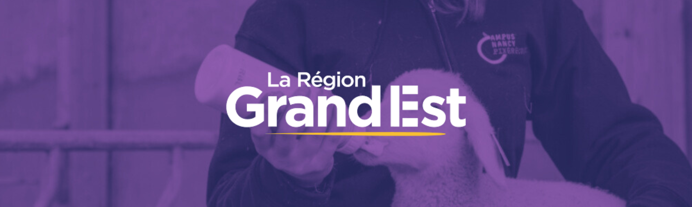 Grand Est : se former aux métiers de l’agriculture et du vivant en 2026 !