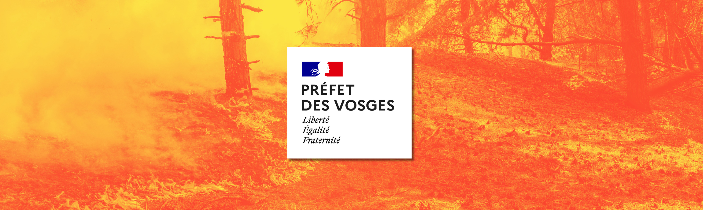 Vosges : l’État déploie une carte des risques d’incendie pour l’été 2026