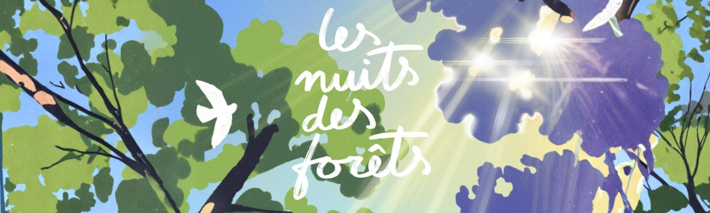 Vosges : « Les Nuits des Forêts » s&rsquo;installe dans nos bois jusqu&rsquo;au 21 Juin 2026 !