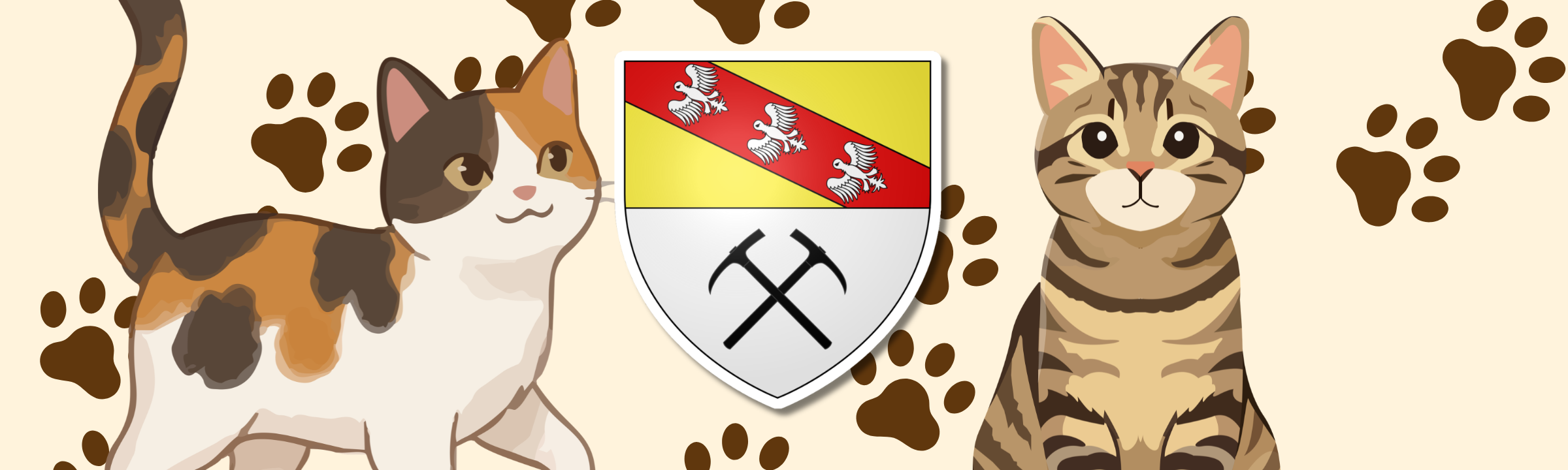 La Croix-aux-Mines : mobilisation commune pour lutter contre la surpopulation des chats