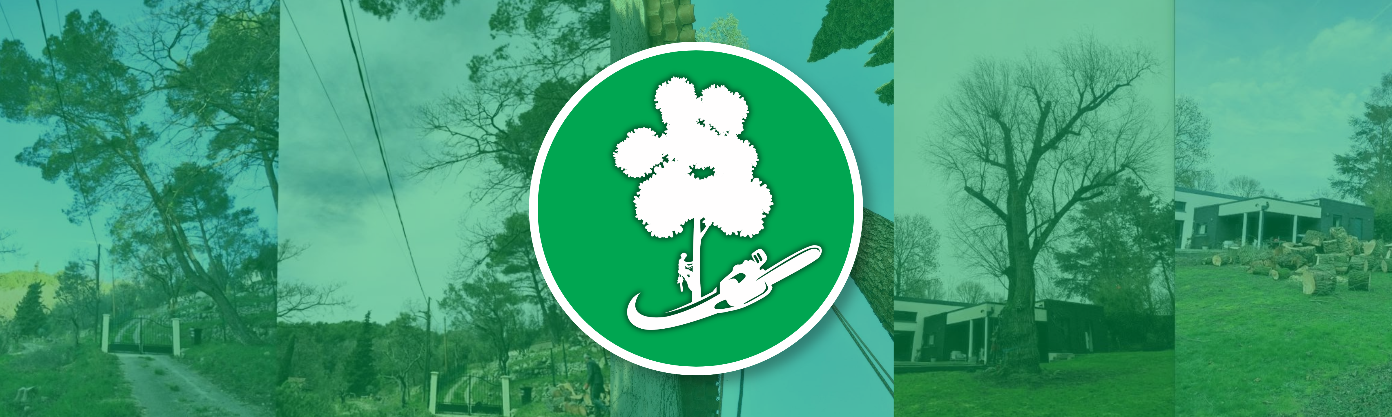 Entreprise : l’arboriste-grimpeur Jérémy Duquesne à votre service pour cet automne 2026